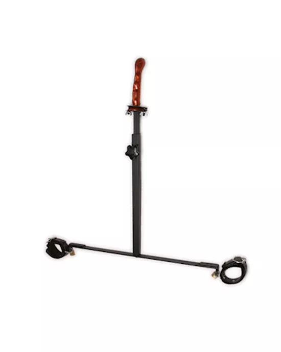 The Anal Impaler