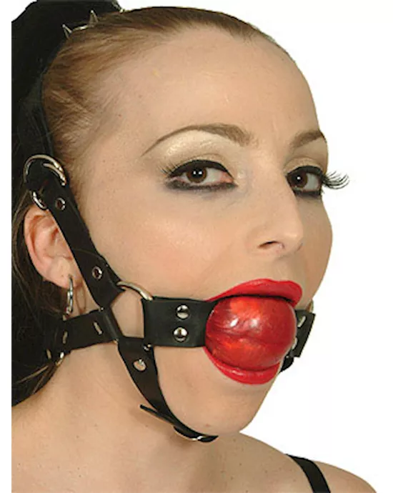 Leather Red Ball Gag Harness