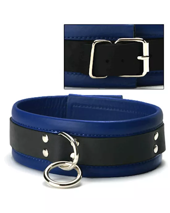 Blue Mid-Level Leather Collar