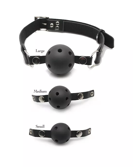 FF Ball Gag Training System