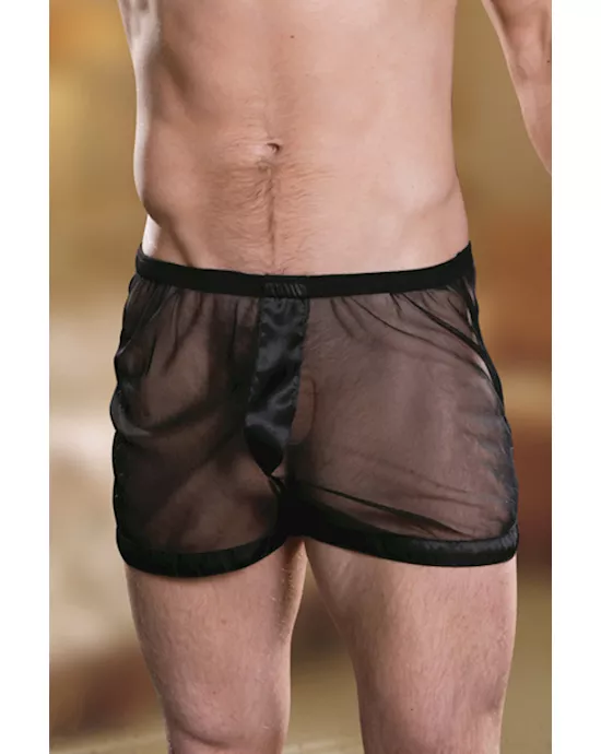 Mans underwear