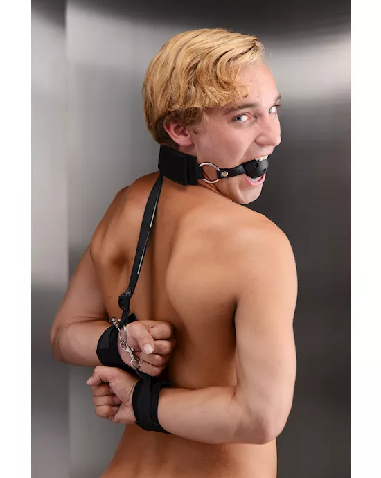 Tease Me and Tame Me Ball Gag and Wrist Restraint System