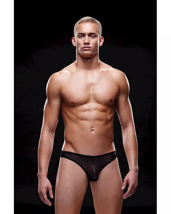 Envy Mesh Brief M L Black