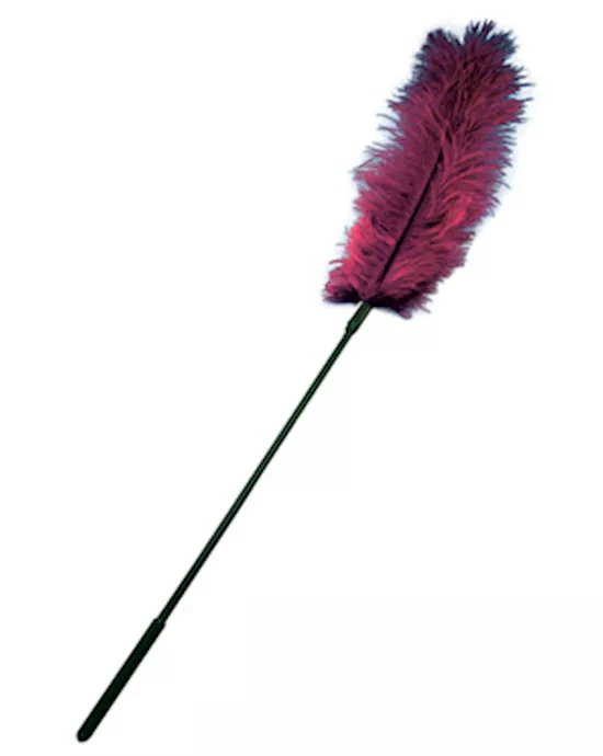 Ostrich Tickler Burgundy
