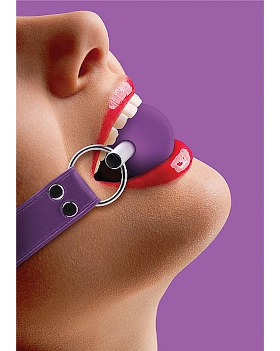 Solid Ball Gag