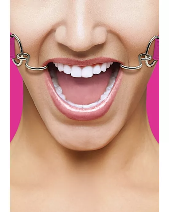 Hook Gag