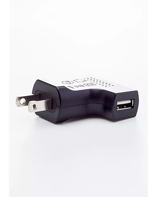 USB USA Charger 