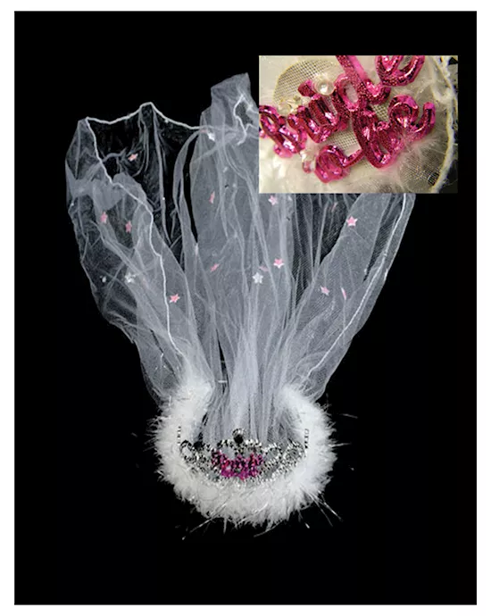 Flashing Bride To Be Tiara with Veil