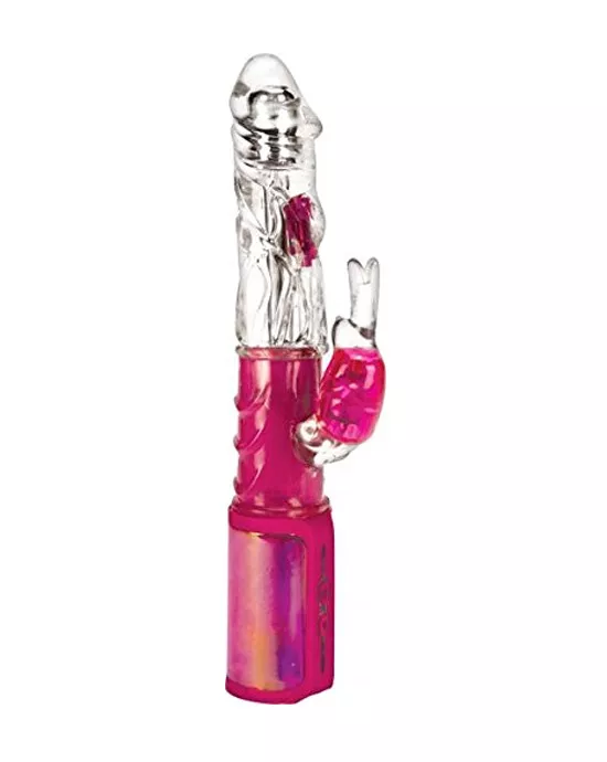 Rabbit Vibe Clear Insight Perception