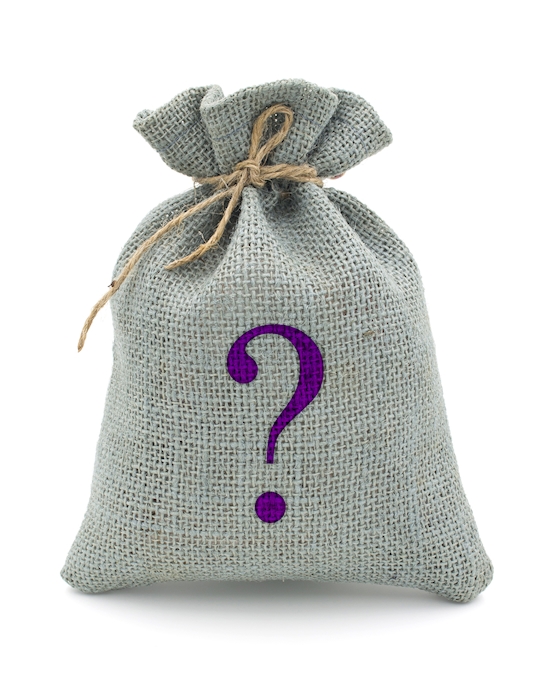Mystery Bag Sexy Costume - One Size Fits Most