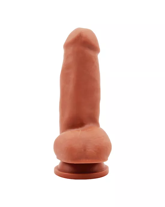 Lecher - 7.1 Inch
