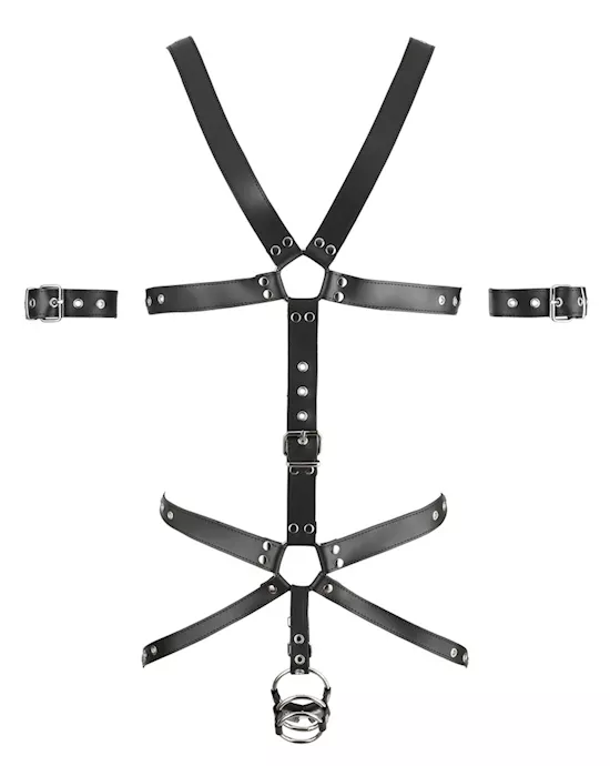 Gus Mens Leather Harness 