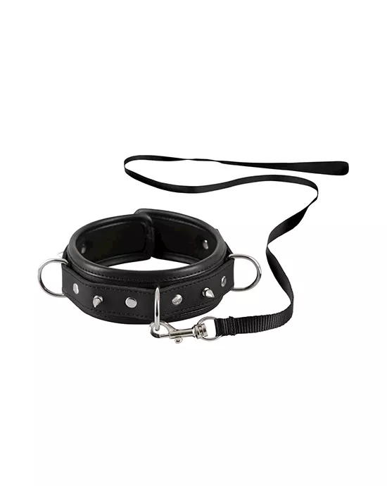 Bad Kitty Cornered Collar