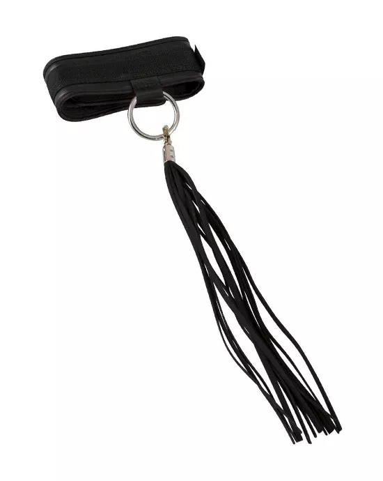 Bad Kitty Collar and Flogger