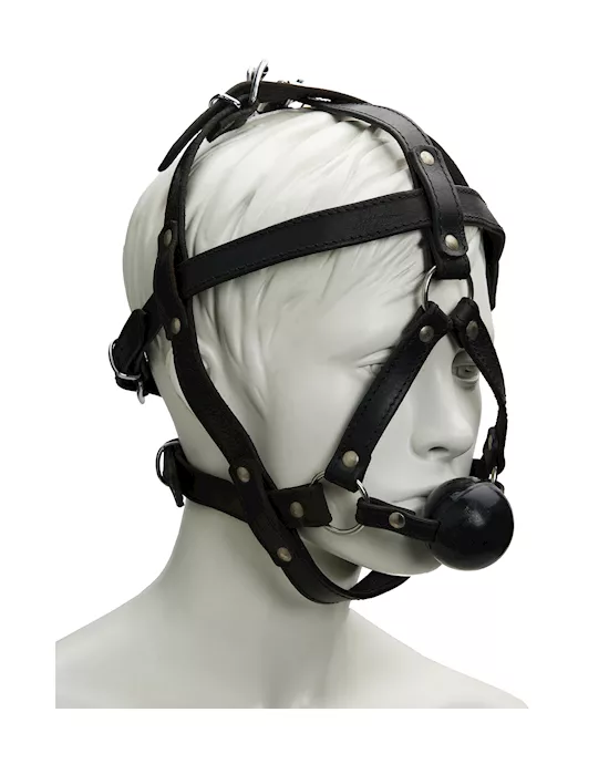 Bound X Heavy Duty Head Harness With Ball Gag
