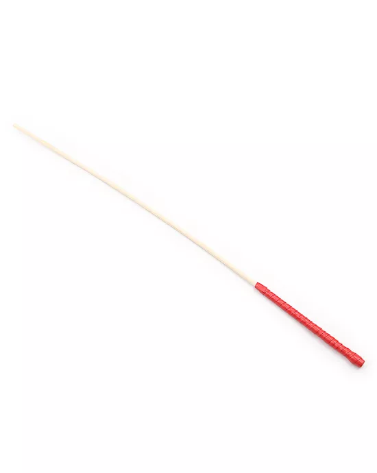 Disciple Cane