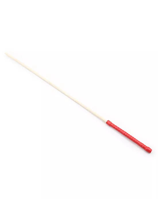 Thick Discipline Cane
