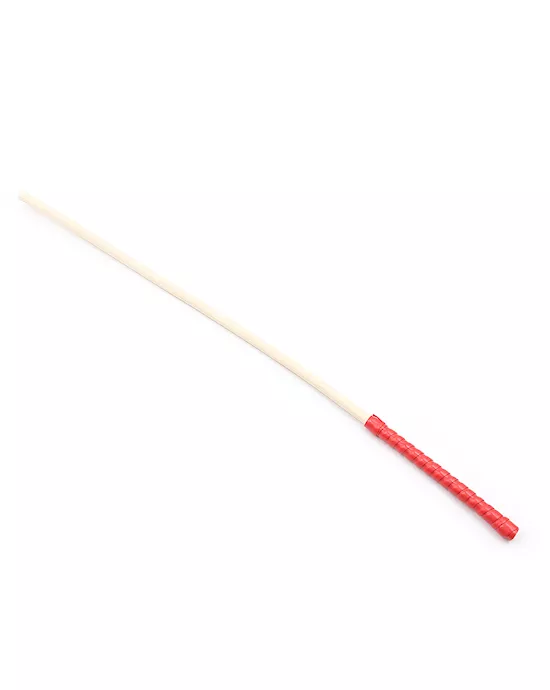 Sturdy Discipline Cane