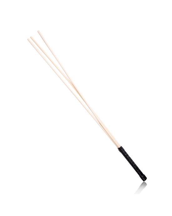 Disciple Tri-cane