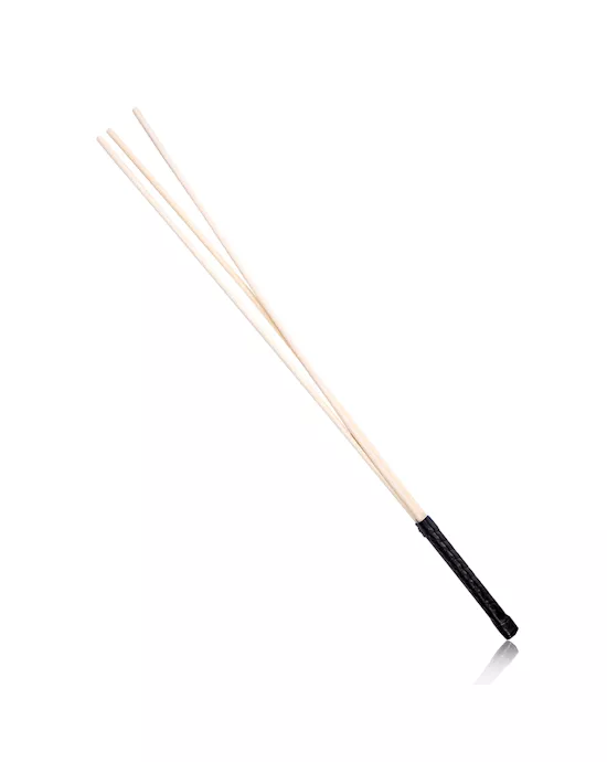 Disciple Tri-Cane