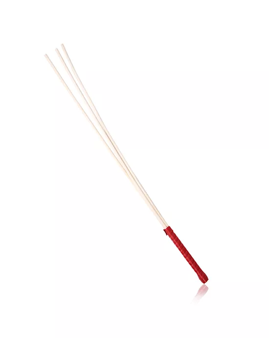 Disciple Tri-Cane