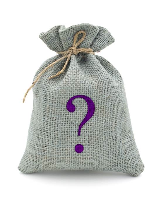 Mystery Bag - Nipple Play