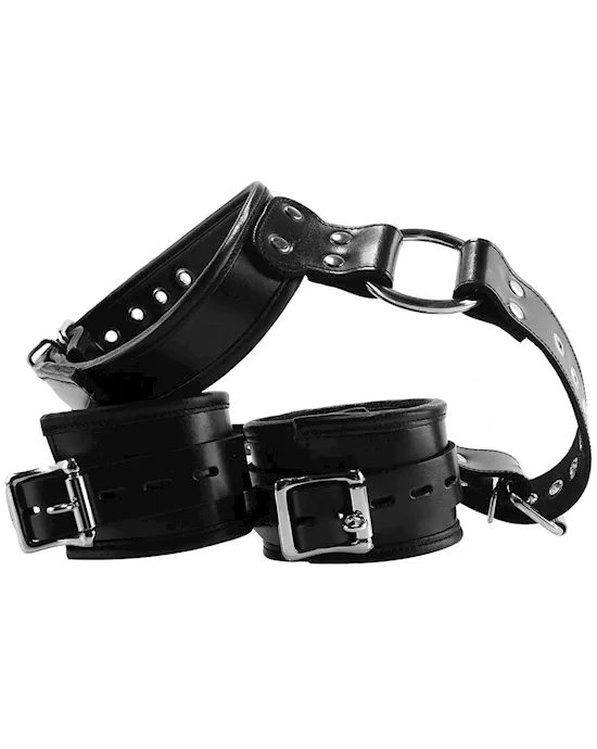 Rouge Leather to Neck Wrist Restraints