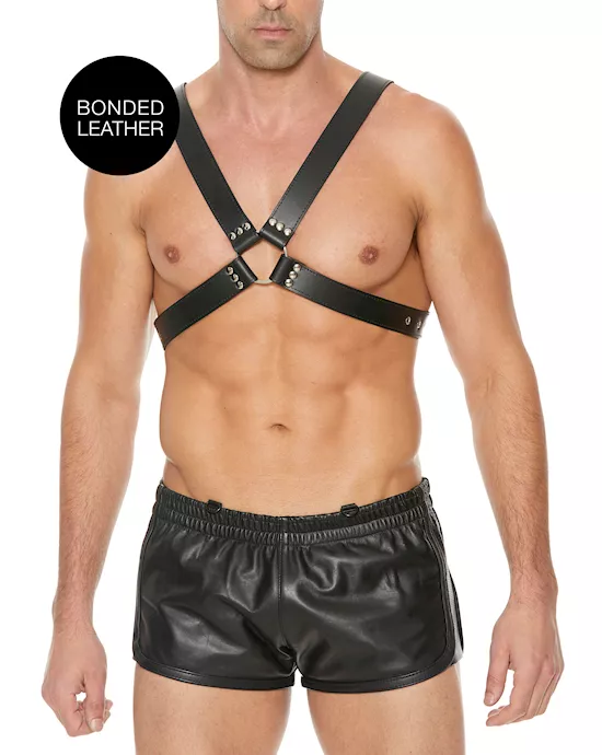 Men's Large Buckle Harness