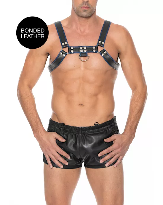 Chest Bulldog Harness