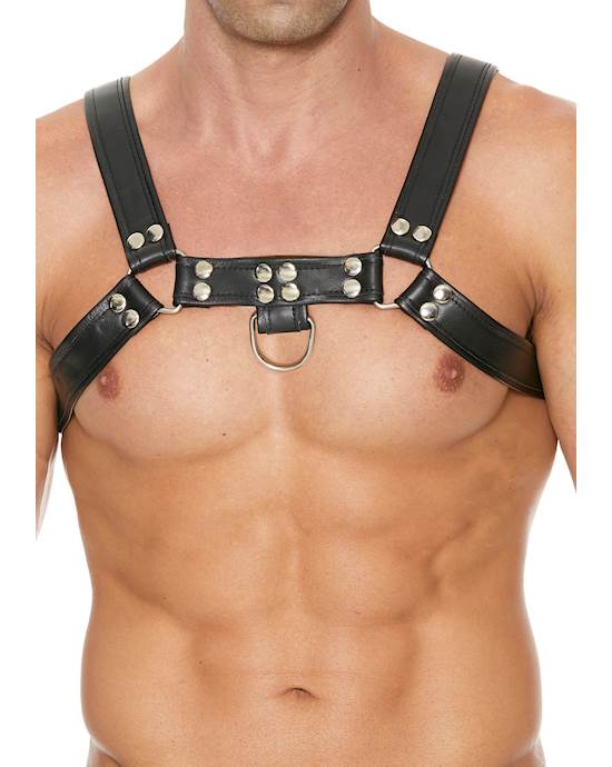 Chest Bulldog Harness