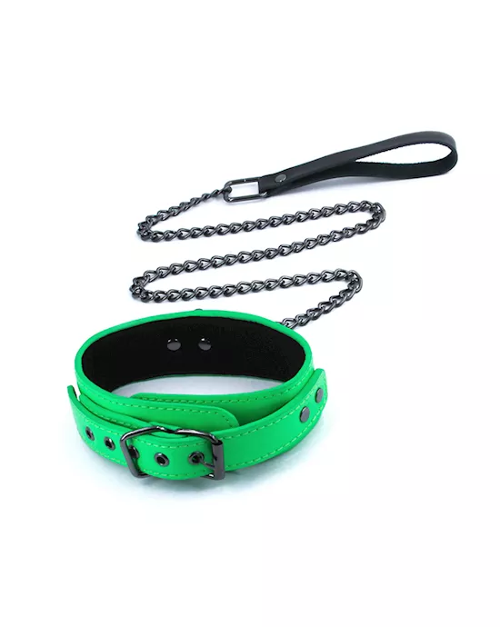 Electra Collar & Leash