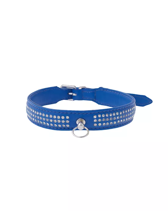 Bound X Blue Collar With Silver Rhinestones