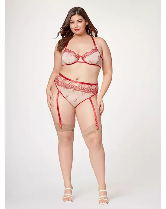 Sheer Elegance Two Piece Bra Set STM-11484X-Red-3X/4X
