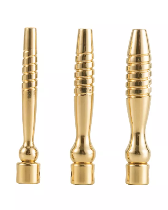 SEVANDA Bad Boy Urethral Plug Training Set