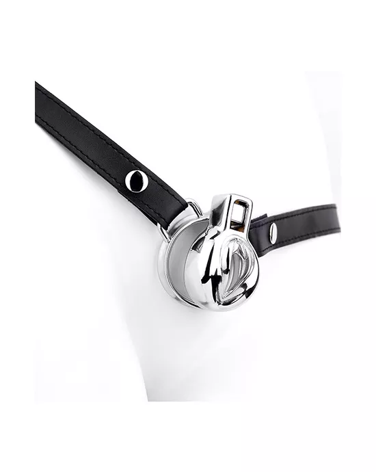 Imprisoned Sissy Stainless Steel Chastity Cage with Belt