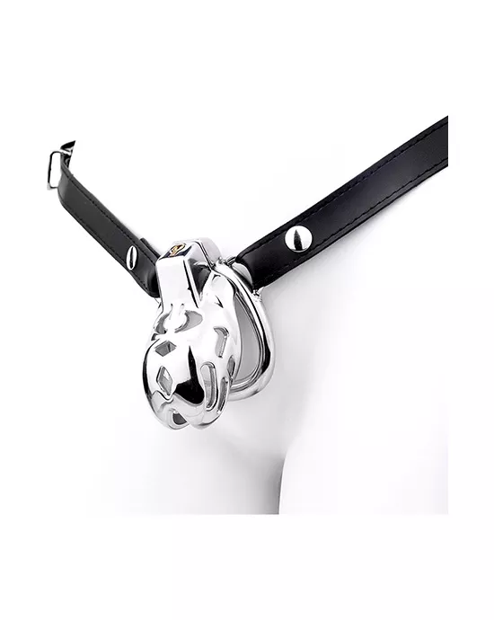 Containment Cell Stainless Steel Chastity Cage with Belt