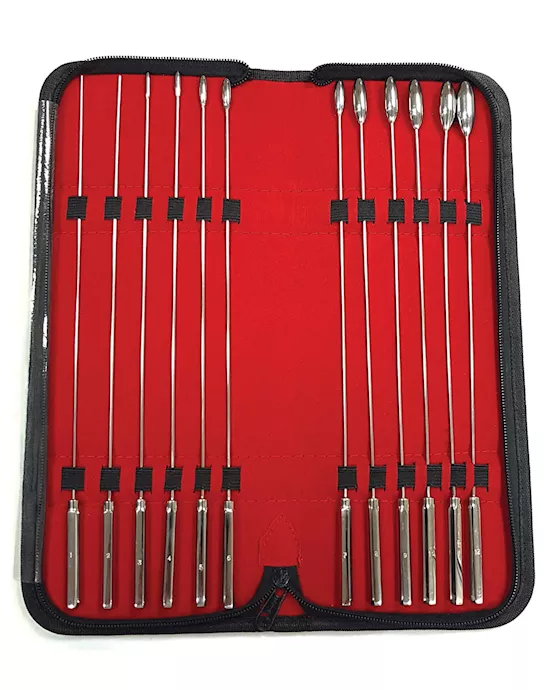 Rouge Stainless Steel Rosebud Dilator Set - Set Of 12
