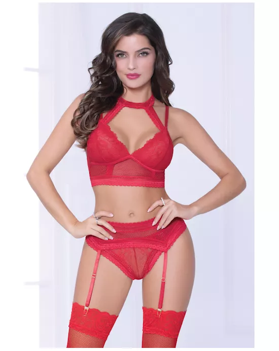 Lace & Netting Long Line Bra, Garter Belt & Open Crotch Thong Red XL