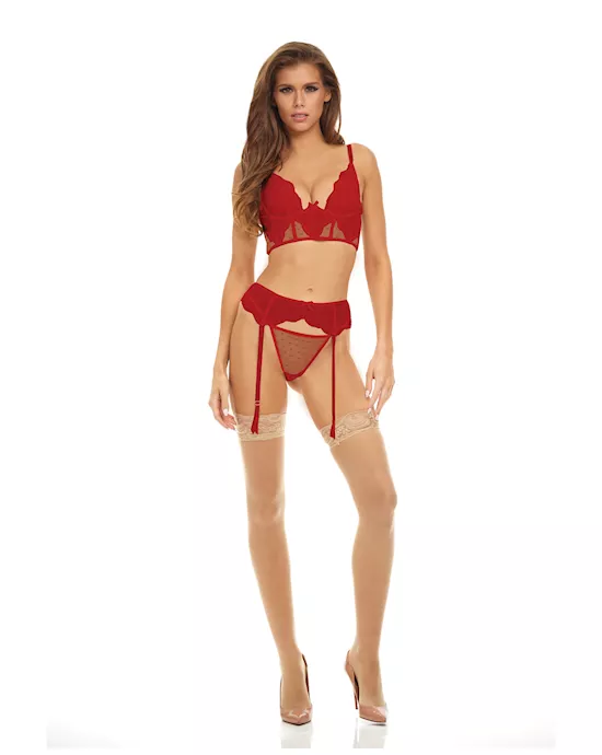 Bombshell Boudoir Lace & Mesh Peek A Boo Wire Bra, Garter Belt & G-String Red LG
