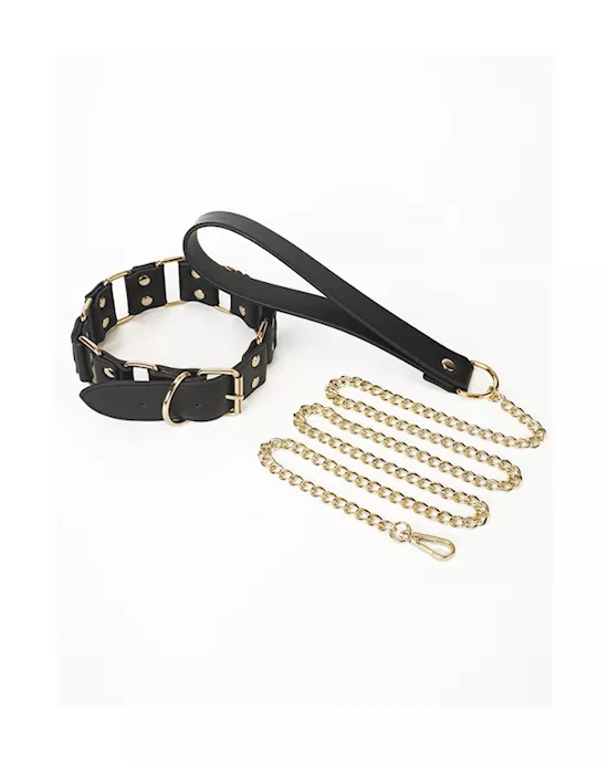 Traction Collar