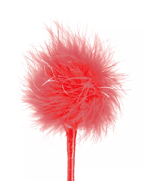 FF FEATHER CROP