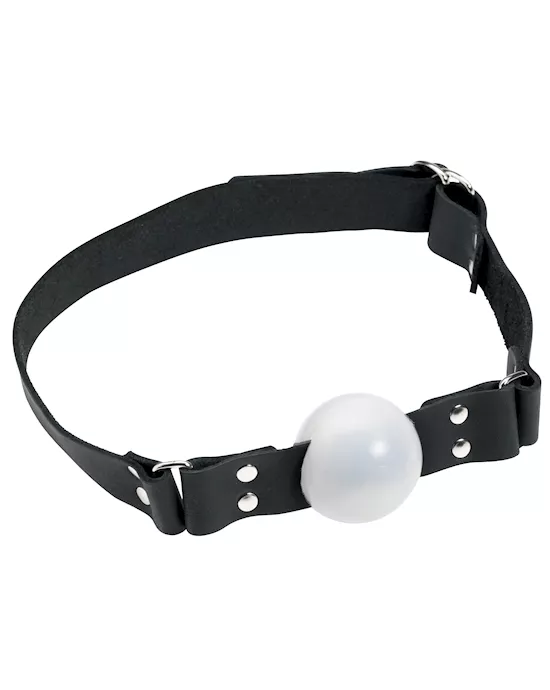 175 Plastic Ball Gag with D Ring