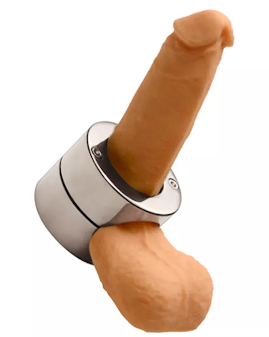 Stainless Steel Penis Trap