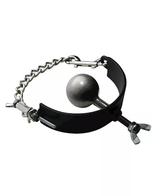Pure Steel 2 Inch Ball Gag