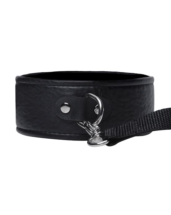 Frisky Beginner Leash And Collar Set