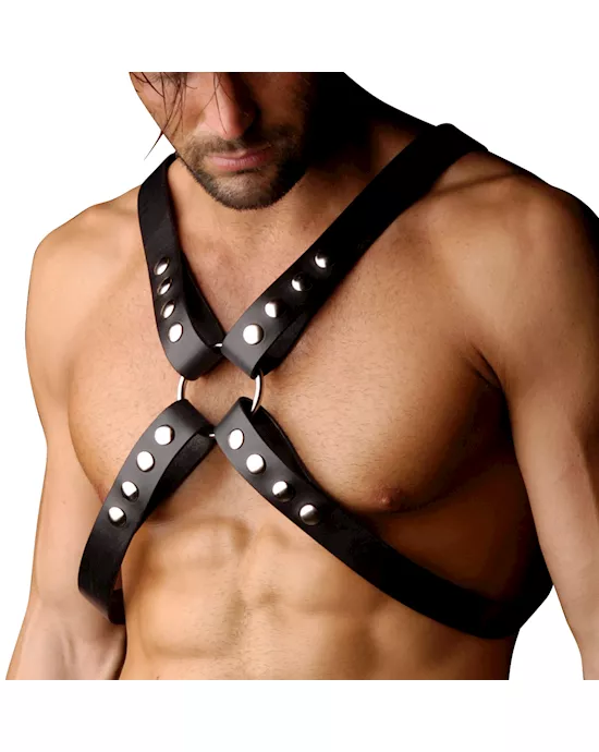 Strict Leather 4 Strap Chest Harness ML