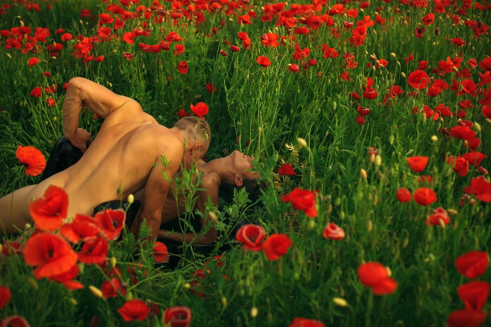 Top 6 Adult Toys to Try This Spring!